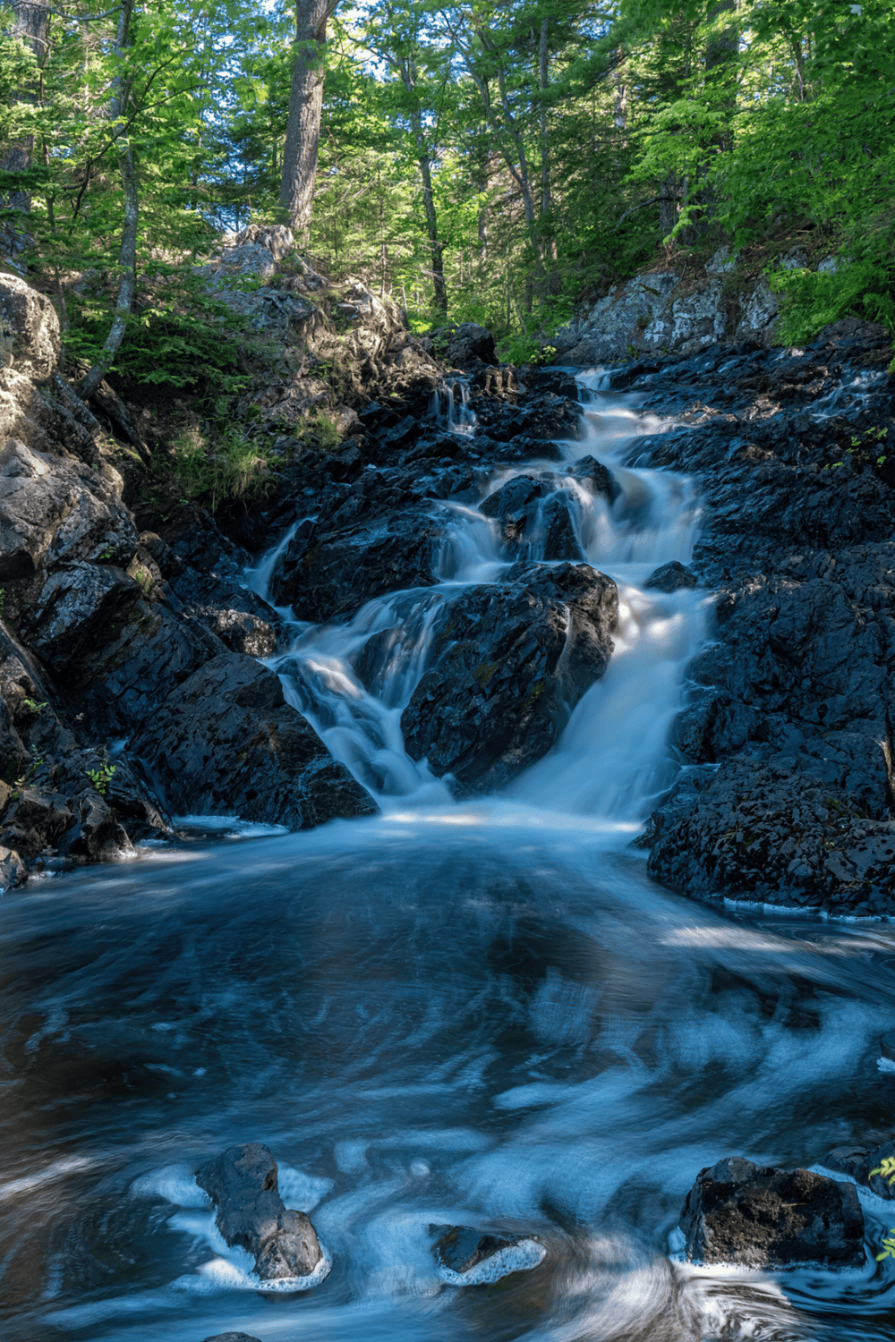 Flowing mountain stream surrounded by lush green trees and rocks in a serene forest setting.