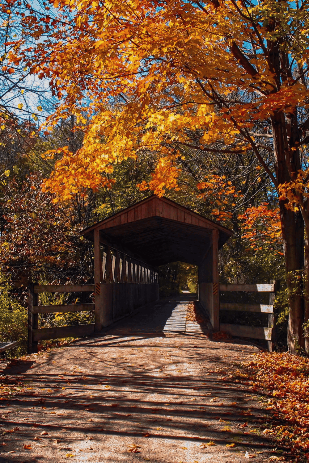 Autumn covered bridge surrounded by fall foliage, scenic nature trail for outdoor adventures.