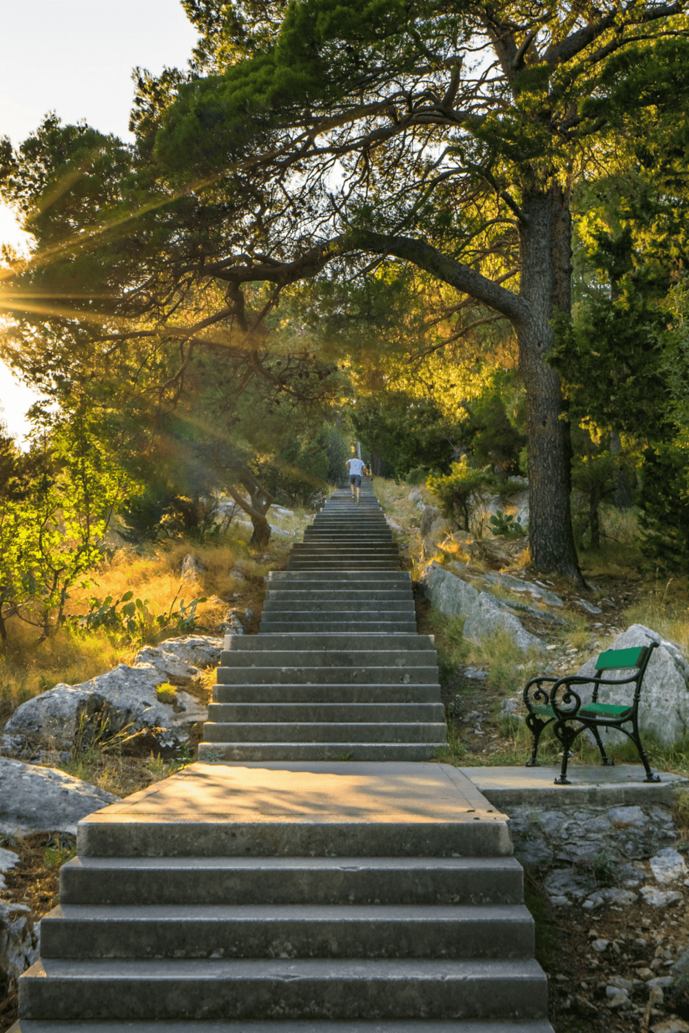 Winding outdoor staircase surrounded by lush trees in a park setting at sunset.