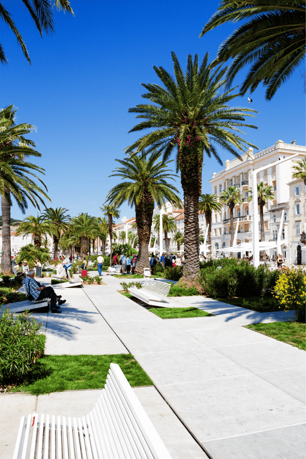 Vibrant palm trees and Mediterranean-style architecture at a seaside promenade.