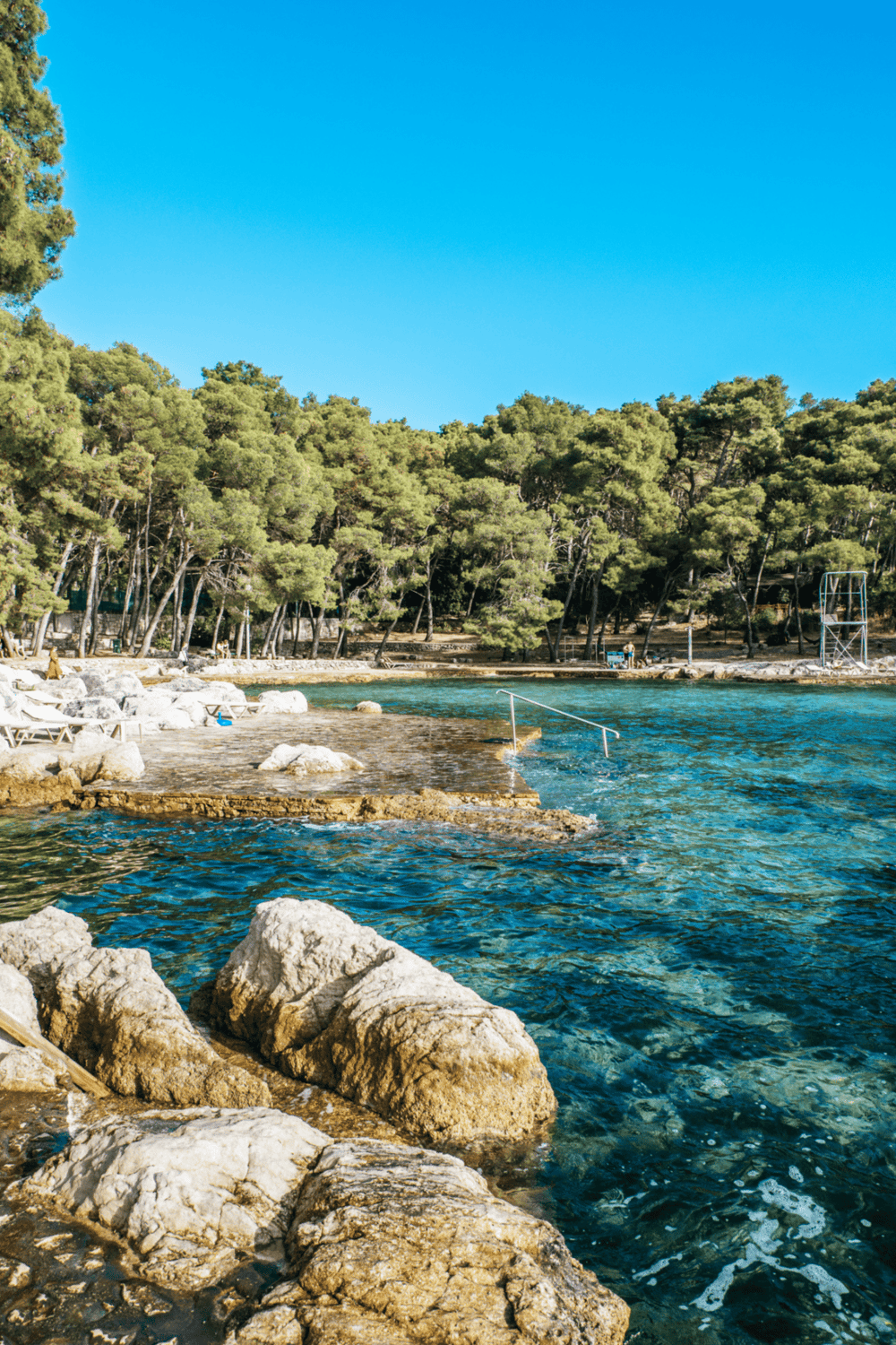 Relaxing seaside view of rocky shoreline and lush pine trees at a scenic coastal destination.