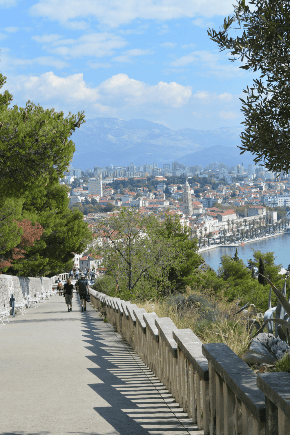 Scenic city view of San Francisco with hilltop park, trees, and skyline.