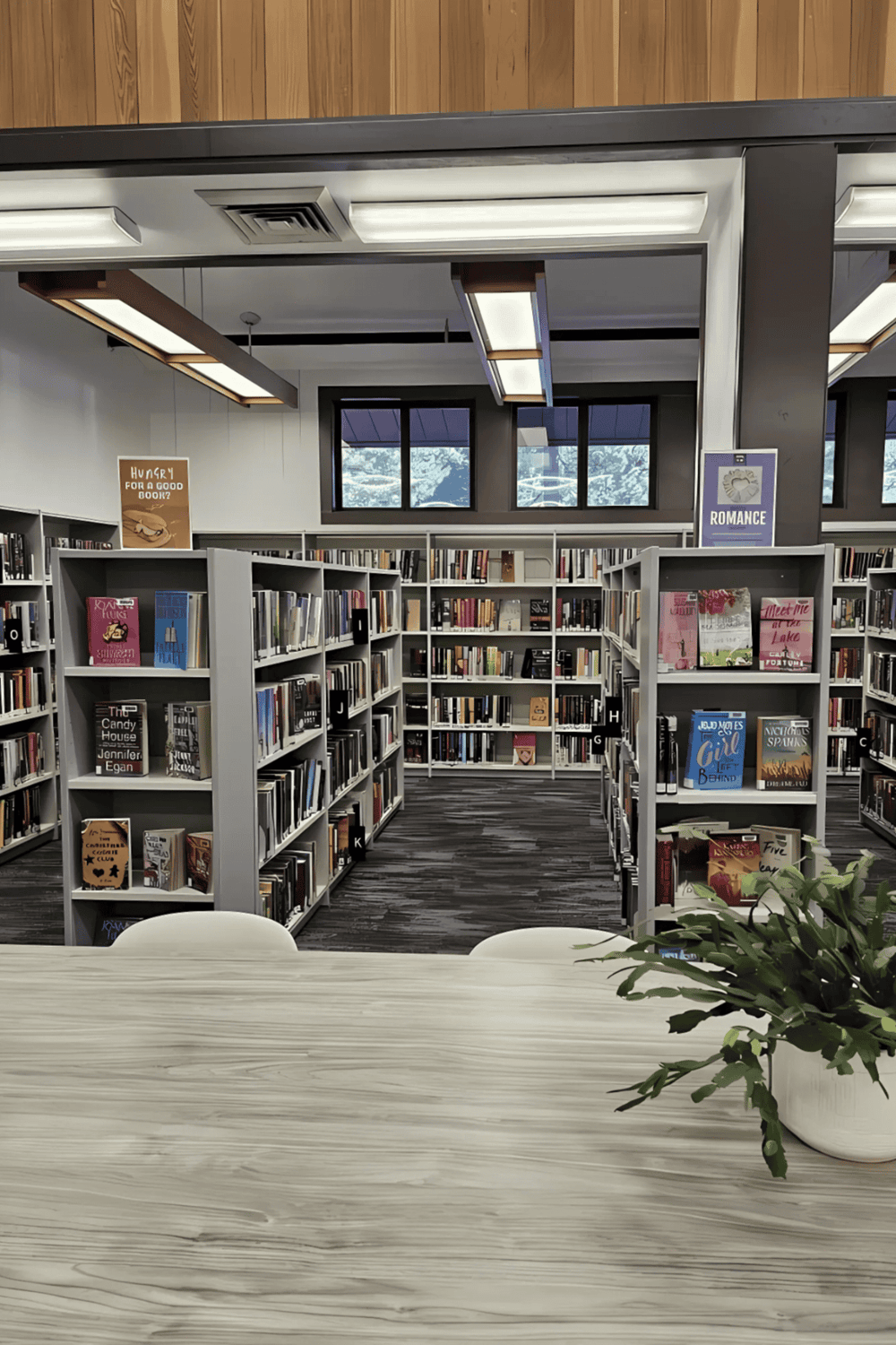 Cozy library with organized bookshelves and natural light, perfect for reading and studying.