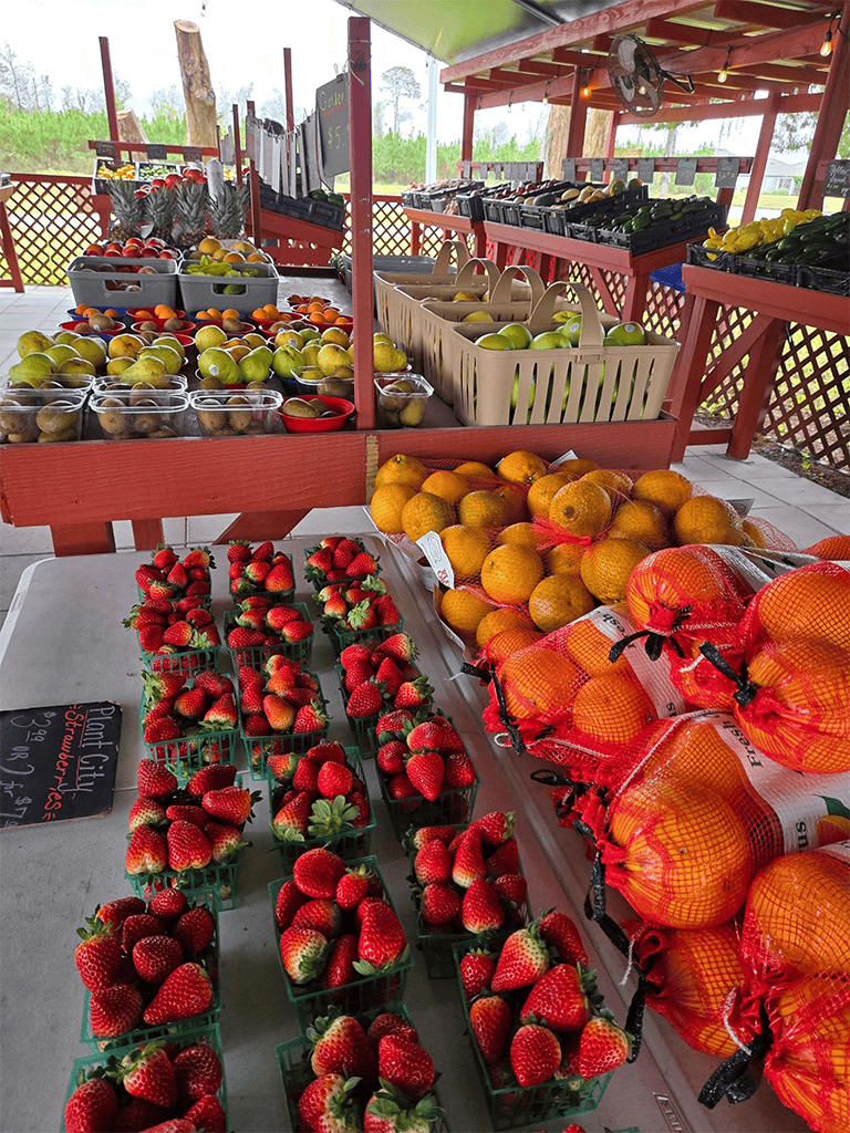 Fresh strawberries and oranges on display at QuestForDirections farmers market.