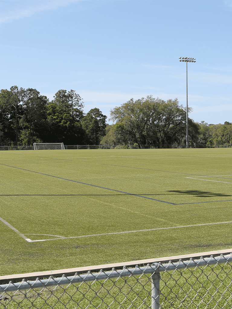 Empty outdoor soccer field with bright green grass and clear blue sky.