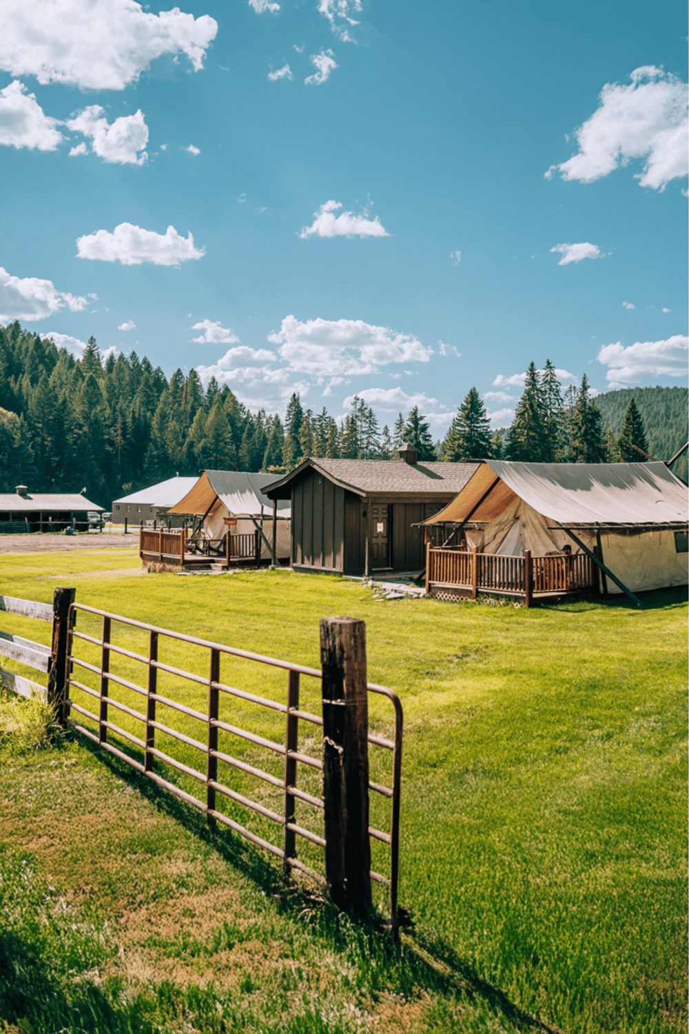 Rustic camping tents and a cozy wooden cabin in a scenic mountain forest setting.