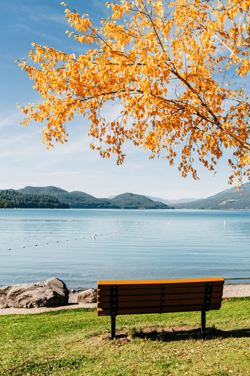 Tranquil lakeside scenery with autumn foliage and a bench for relaxing views.