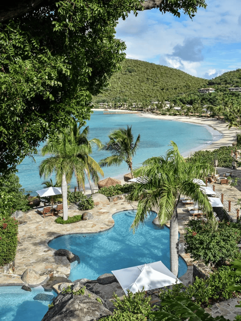 Luxurious tropical pool with palm trees and ocean view at QuestForDirections resort.