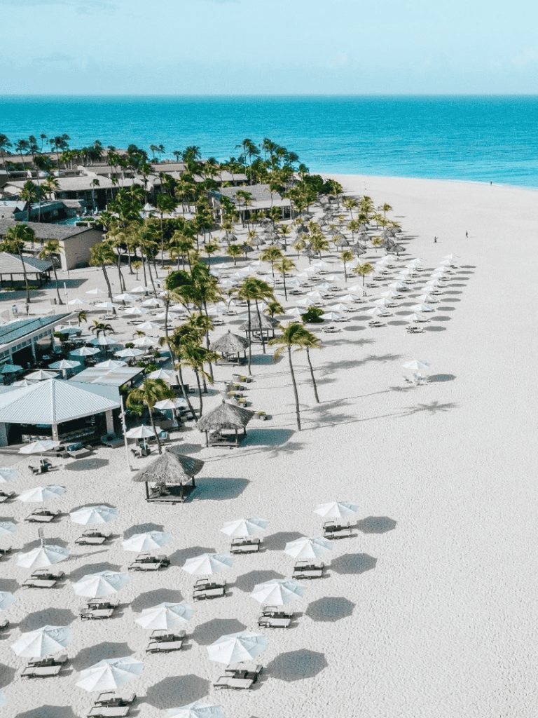 Relaxing beach resort with white sand, palm trees, and ocean view for perfect vacation.