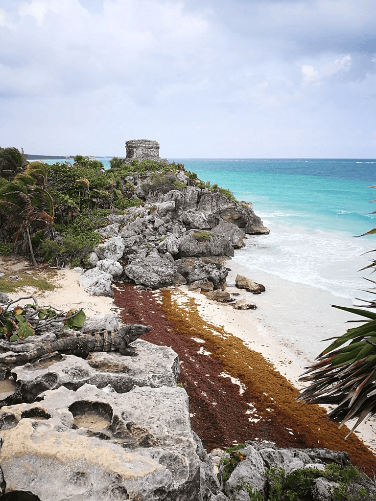 Rugged Caribbean shoreline with ancient Mayan ruins and turquoise waters.