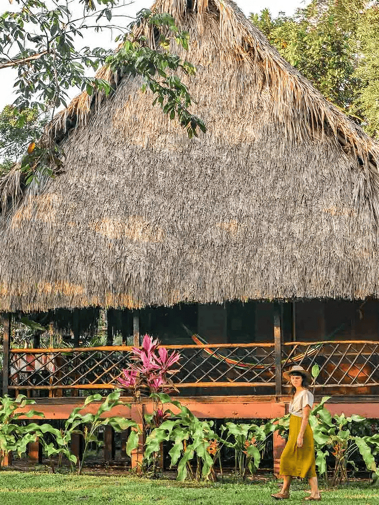 Vibrant tropical scenery with a thatched-roof hut and lush garden, ideal for eco-tourism travel and nature destinations.