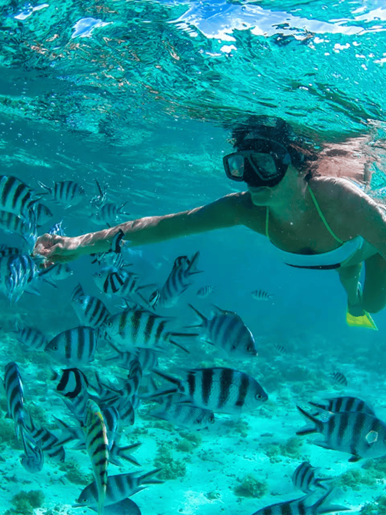 Colorful striped fish swimming near woman snorkeling underwater with coral reef background.