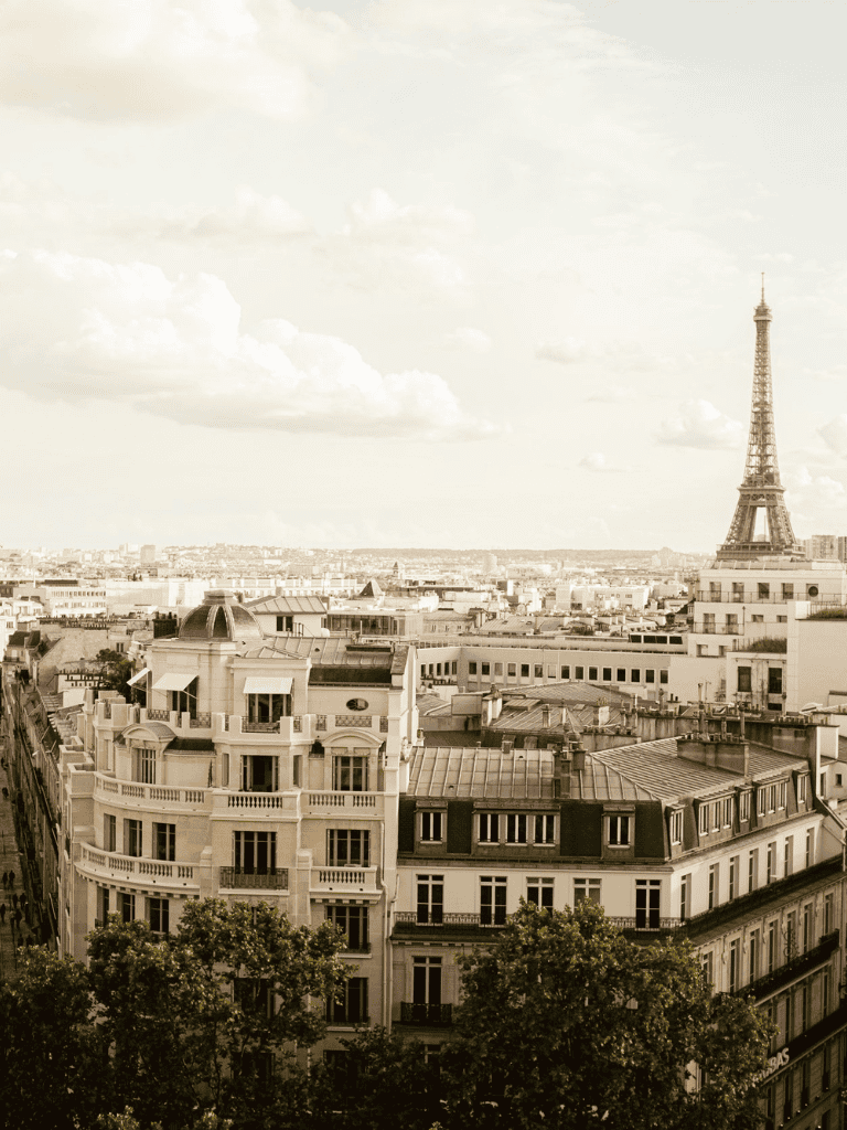 Elegant Parisian rooftop view with Eiffel Tower in background, showcasing beautiful architecture and cityscape.