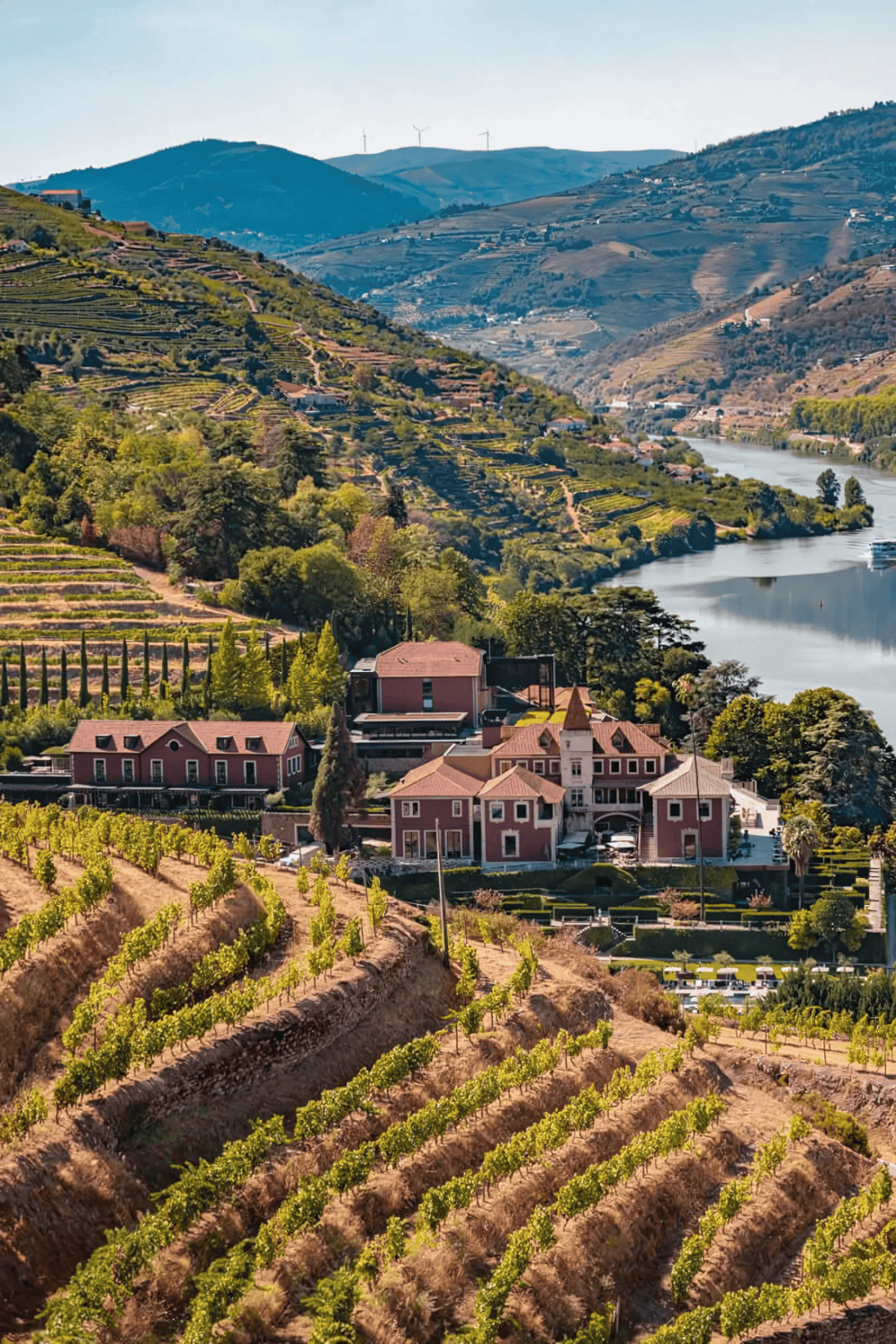 Vineyard landscape with hillside winery, terraced grapevines, river, and rolling hills in the background.