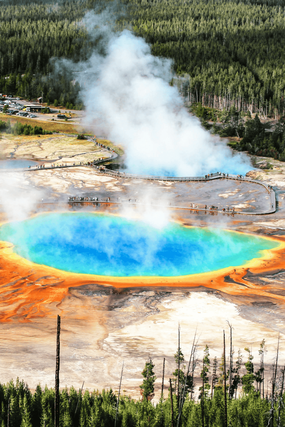 Vibrant Grand Prismatic Spring in Yellowstone with colorful thermal features and geothermal steam.