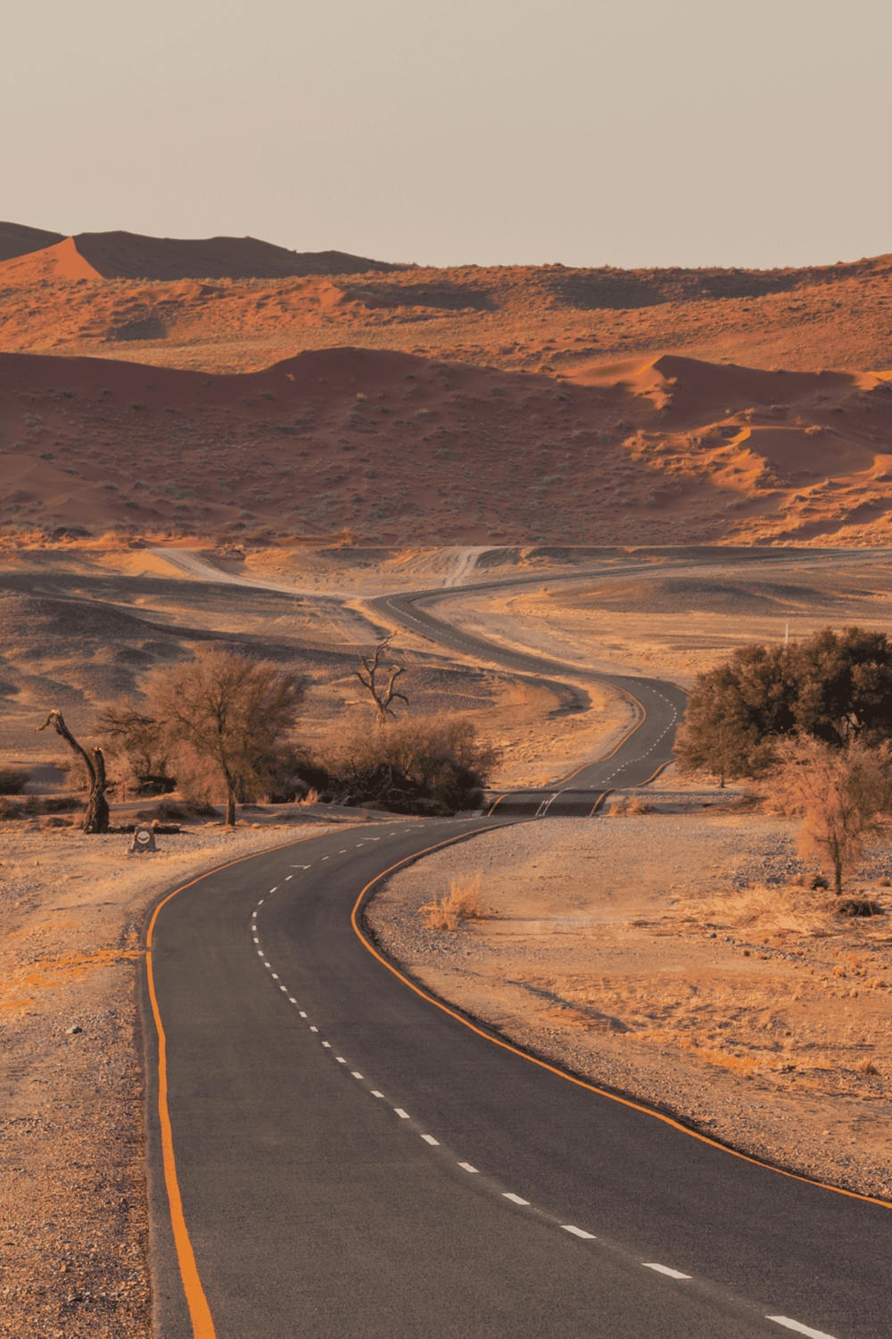 Desert landscape with winding road in the wilderness, perfect for travel and adventure.