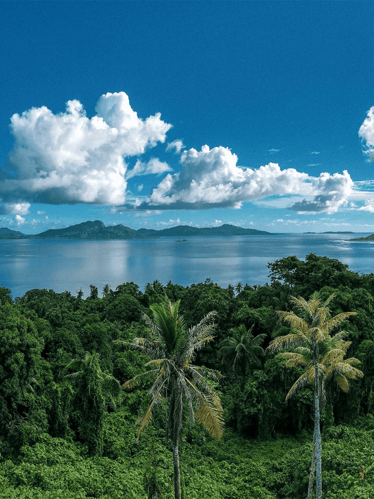 Lush tropical rainforest with a scenic view of a large lake and distant mountains under a bright blue sky.