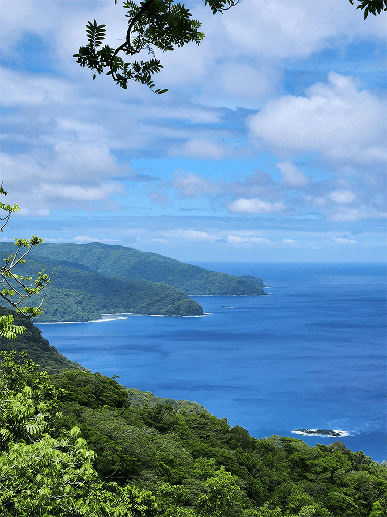 Lush green coastal landscape with blue ocean and cloudy sky, scenic ocean view from a tropical viewpoint.
