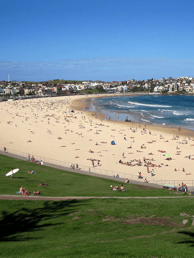 Bright sunny beach with people relaxing and surfing, overlooking vibrant coastal cityscape.