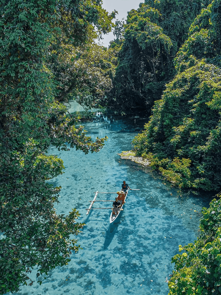 Serene river with lush green trees, perfect for kayaking and exploring nature's beauty.