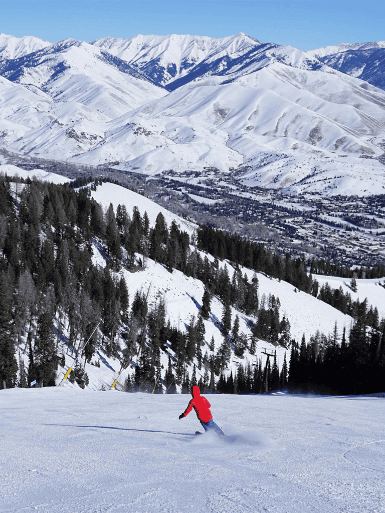 Fresh powder skiing in snowy mountains with scenic landscape and forests in the background.