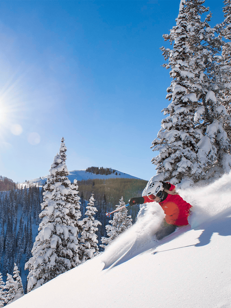 Powder snowboarding in snowy mountain forest, winter adventure scene.