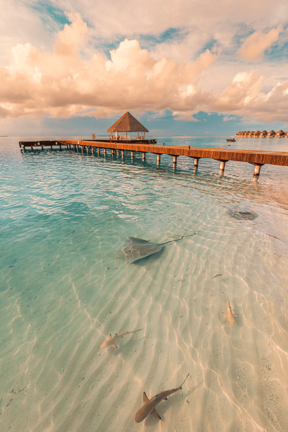 1. Overwater bungalow with a wooden pier, clear turquoise water, and stingrays swimming below.