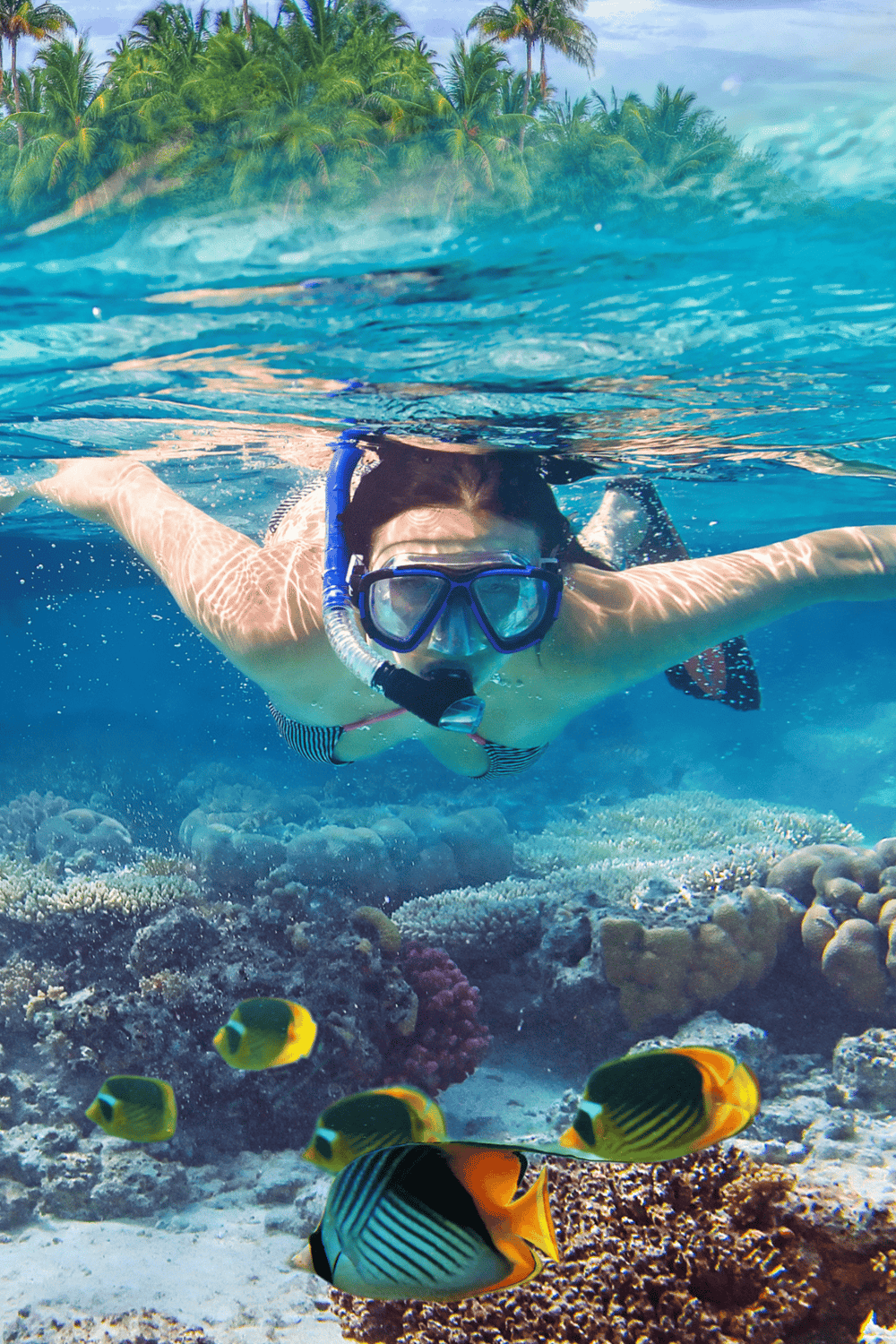 Snorkeling in tropical coral reefs with vibrant fish and clear blue waters, perfect for adventure and marine exploration.