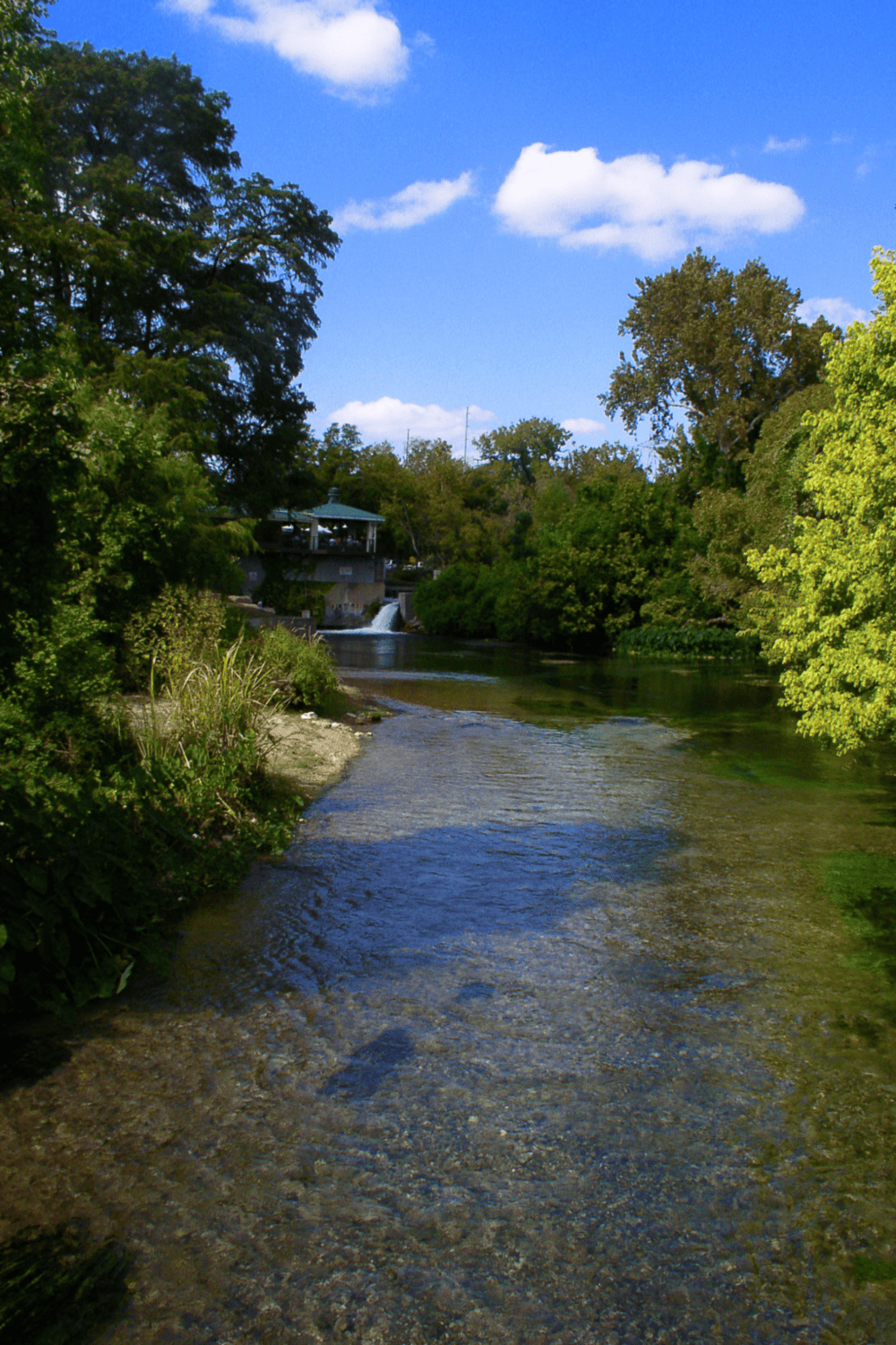 Serene river scene with lush trees and a clear sky, ideal for outdoor adventure and nature exploration.
