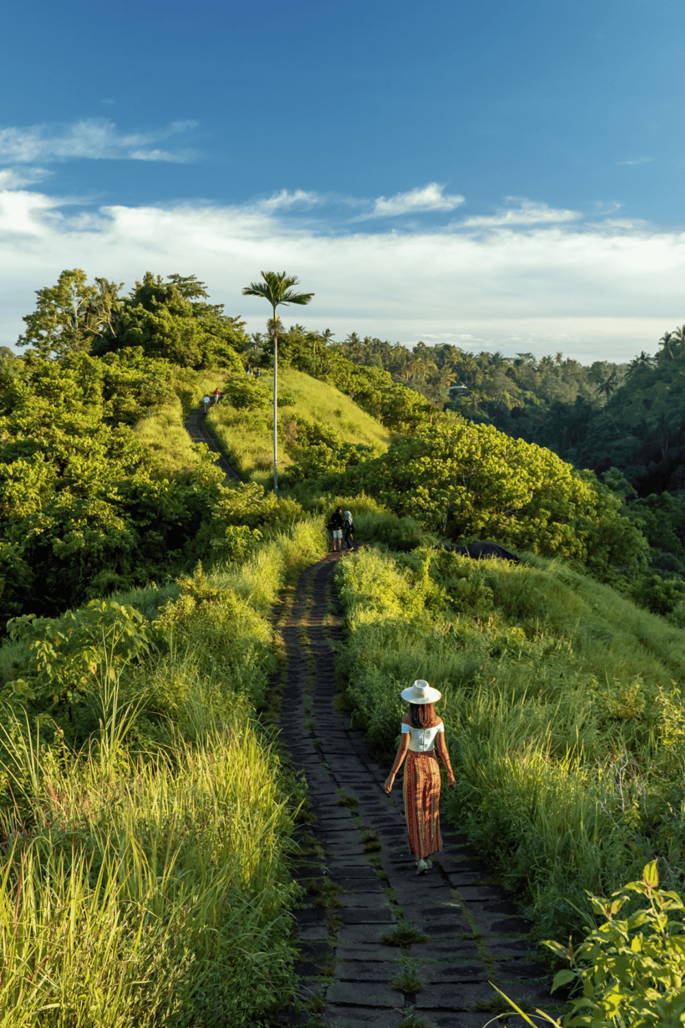 Serene hilltop trail with lush greenery, perfect for nature walks and outdoor exploration.