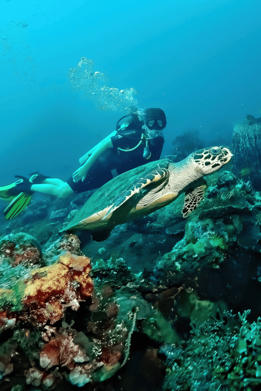 Colorful scuba diver swimming with sea turtle in vibrant coral reef, underwater adventure, marine life exploration.
