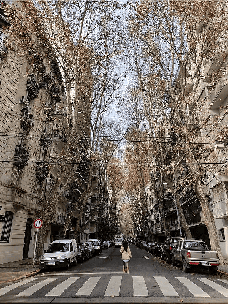 Avenue with tall trees, residential buildings, parked cars, and a person crossing the street in an urban setting.