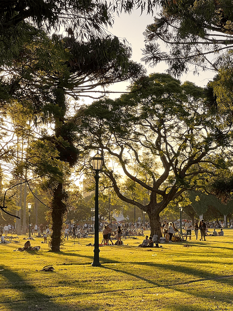 Vibrant city park with lush trees, people relaxing, and warm sunlight during late afternoon.
