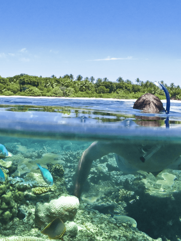 Snorkeler exploring vibrant coral reef with colorful tropical fish in crystal-clear waters.