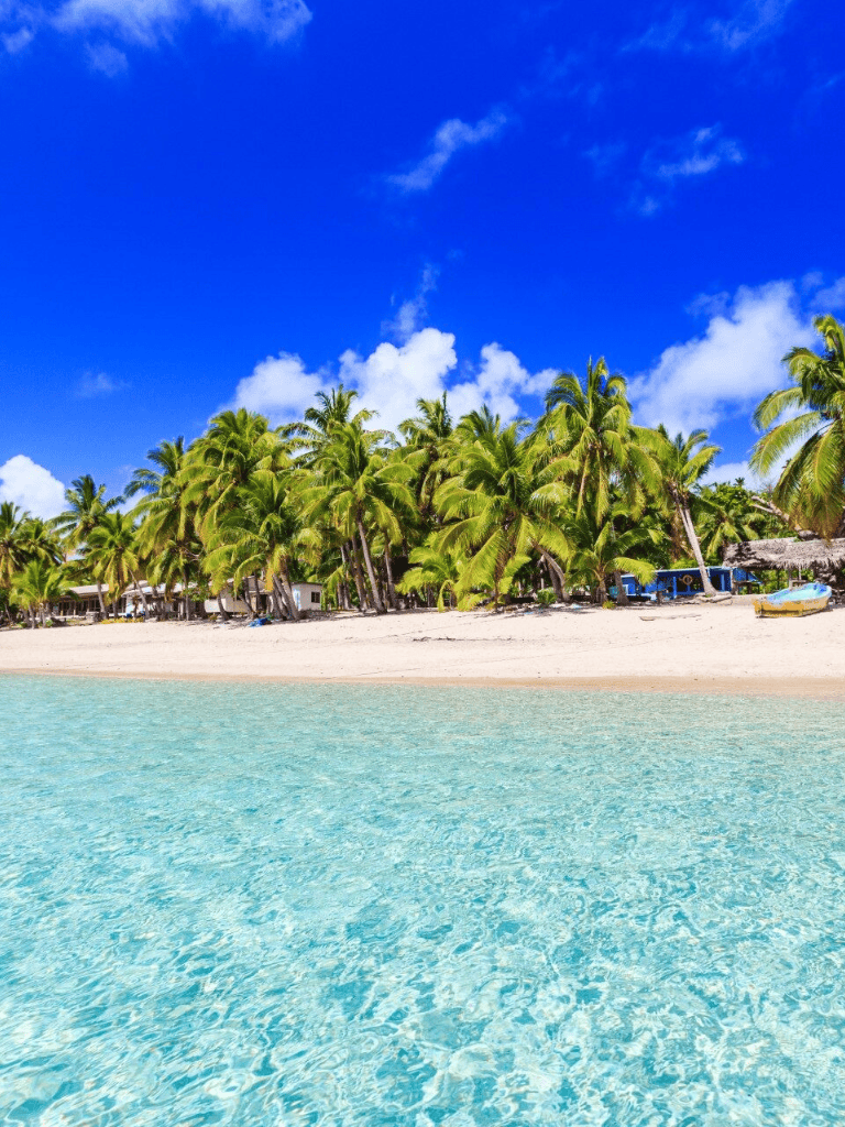 Relaxing tropical beach with clear water and palm trees, perfect for vacation and travel destinations.