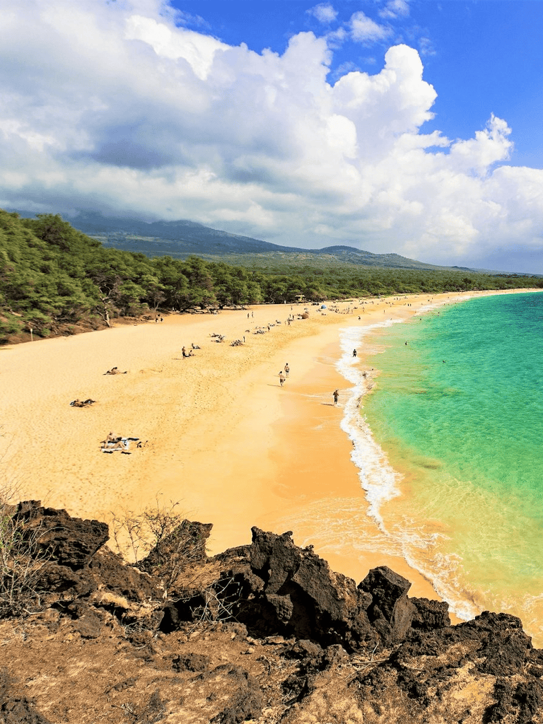 Golden sandy beach with turquoise waters and lush green trees, ideal for relaxation and scenic exploration.