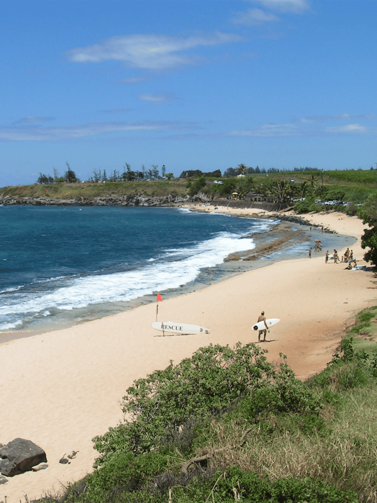 Bright tropical beach with surfers and rescue sign, scenic coastline, and lush greenery under blue skies.