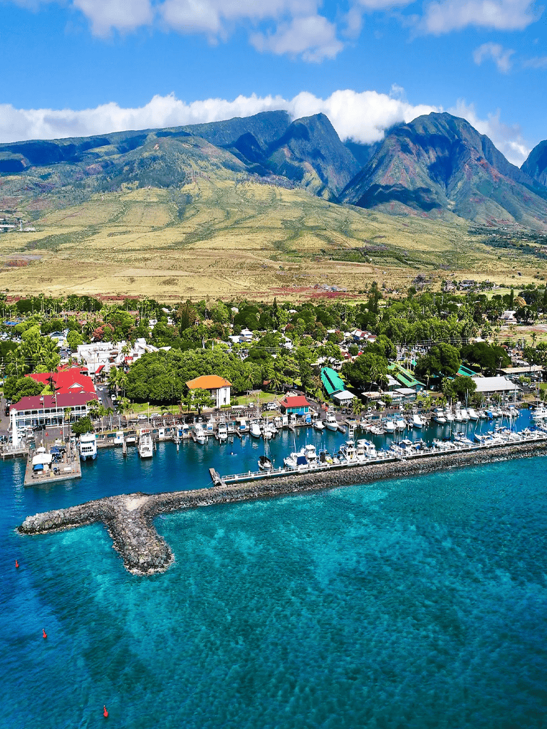 Colorful harbor with boats and lush green landscape with mountains in the background, perfect destination for travel and adventure.