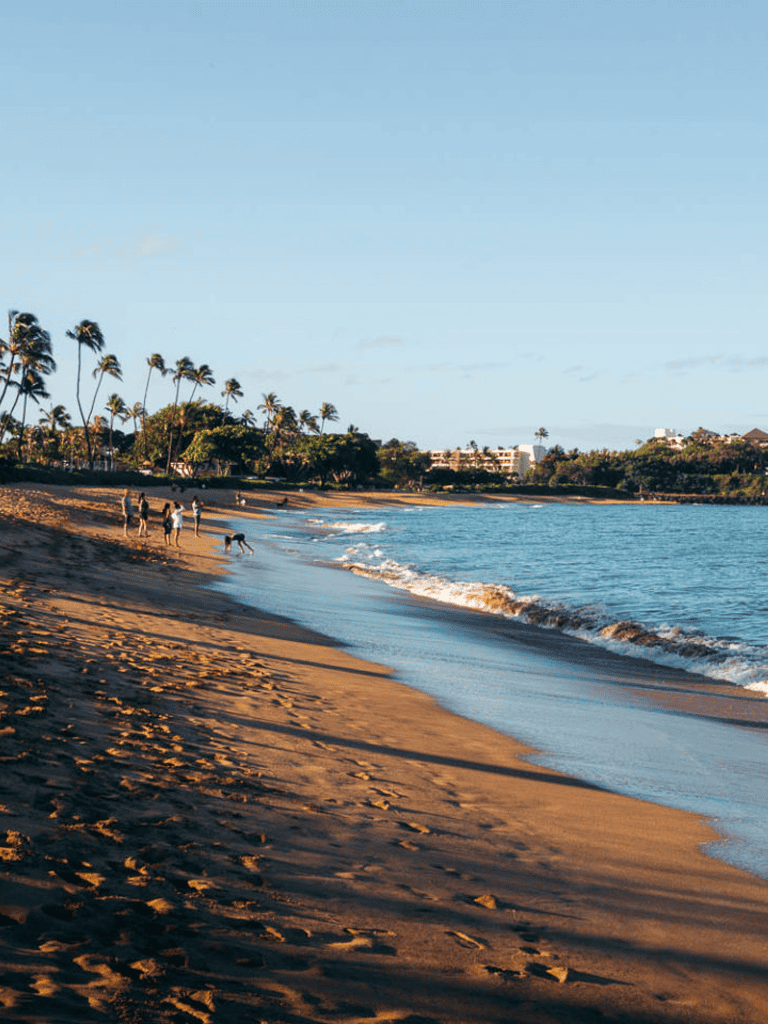 Beach with palm trees and ocean waves at sunset scene.