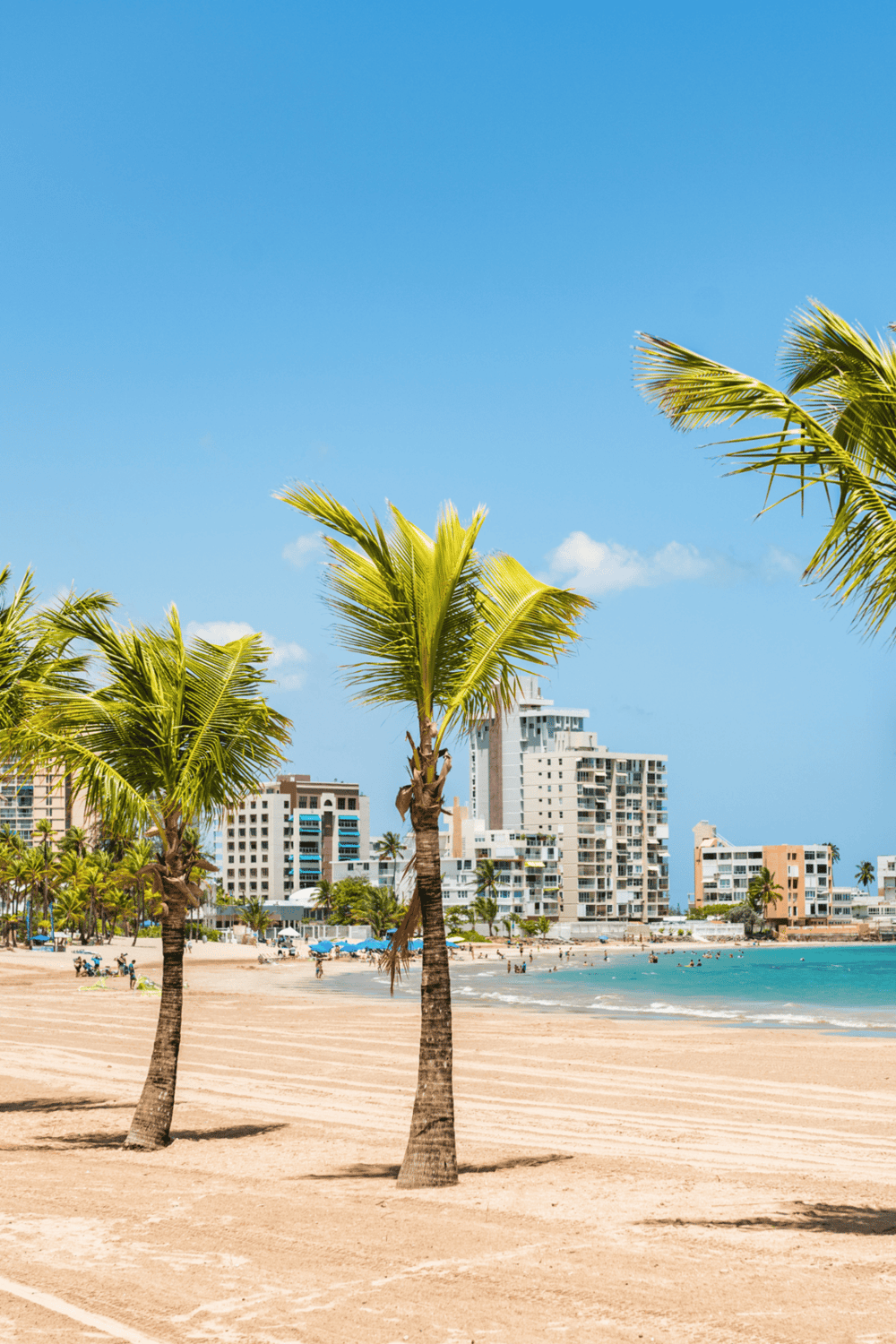 1. Beautiful sunny beach with palm trees and high-rise buildings in the background, perfect for travel and vacation.