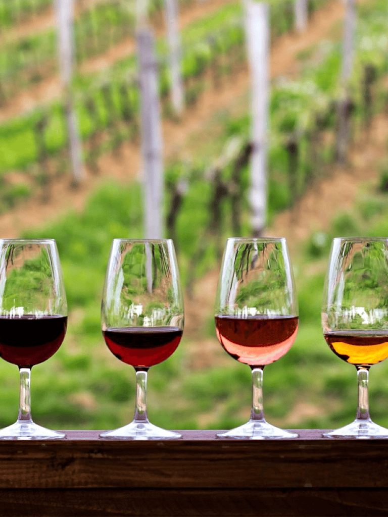 Vineyard and wine glasses with red, rosé, and white wine, scenic outdoor setting.