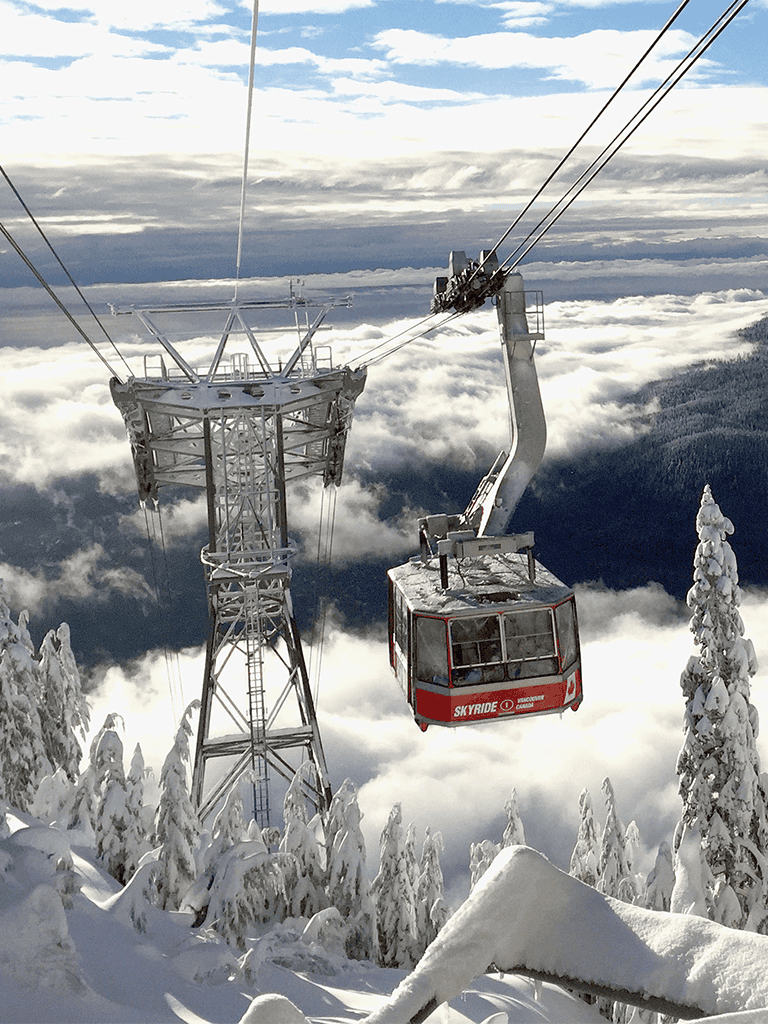 Cable car ride in snowy mountain landscape with pine trees, high elevation and cloudy sky, scenic winter adventure.