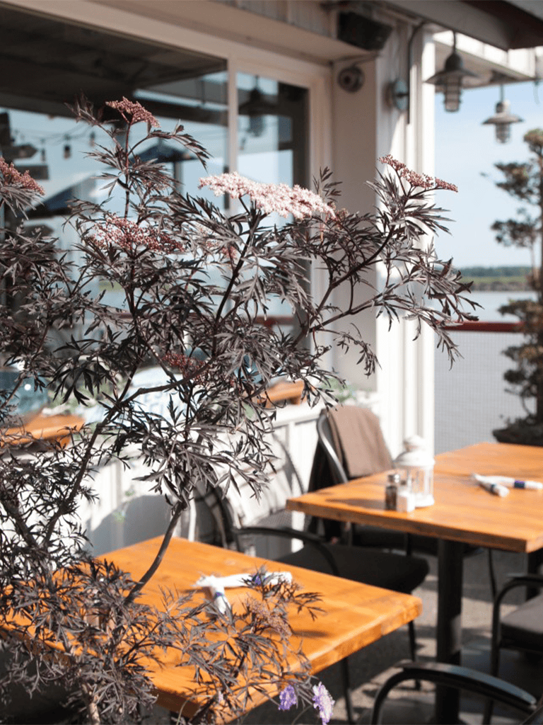Vibrant outdoor dining area featuring lush plants, modern decor, and scenic water views for memorable meals.