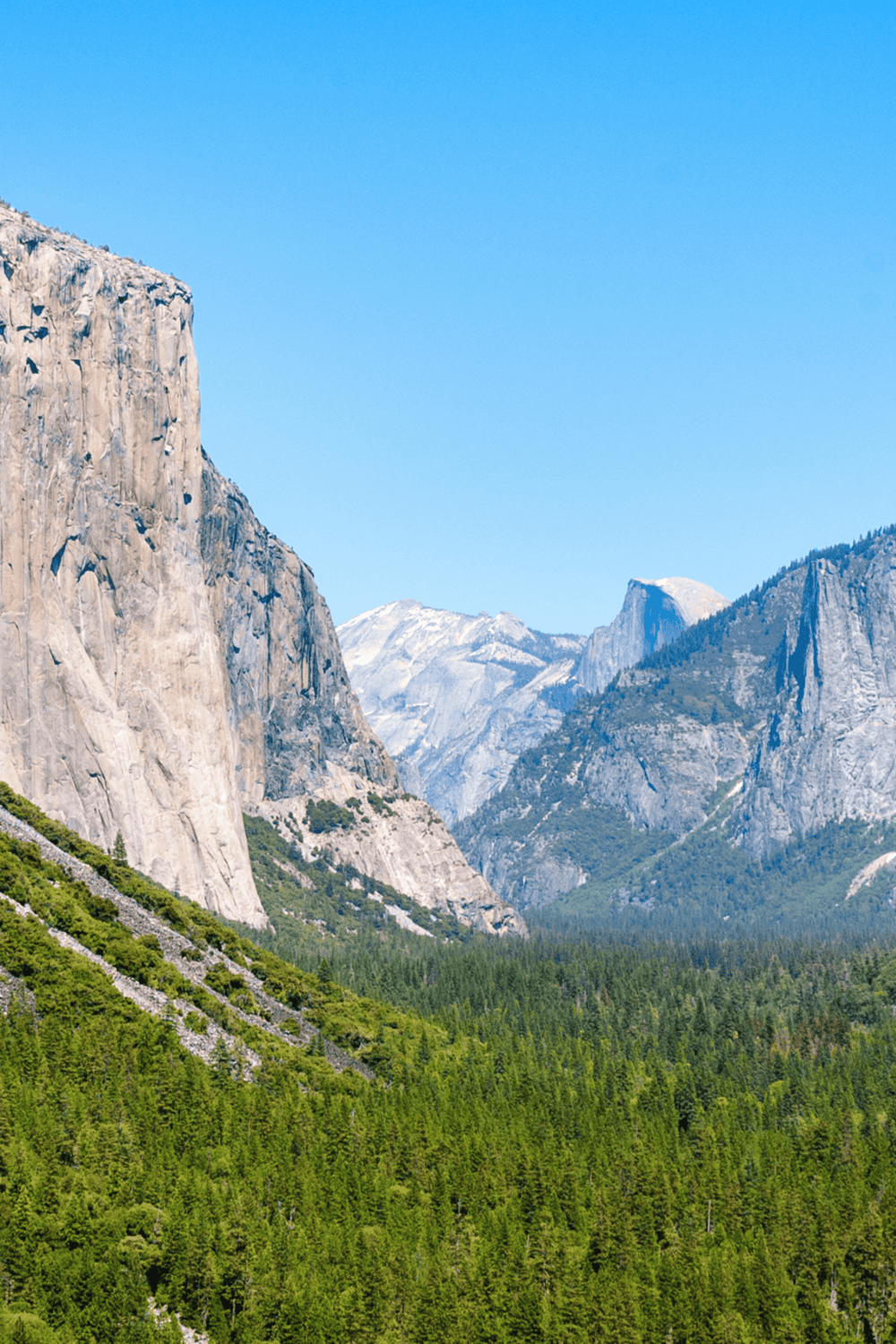Majestic Yosemite Valley with towering granite cliffs and lush green forests.
