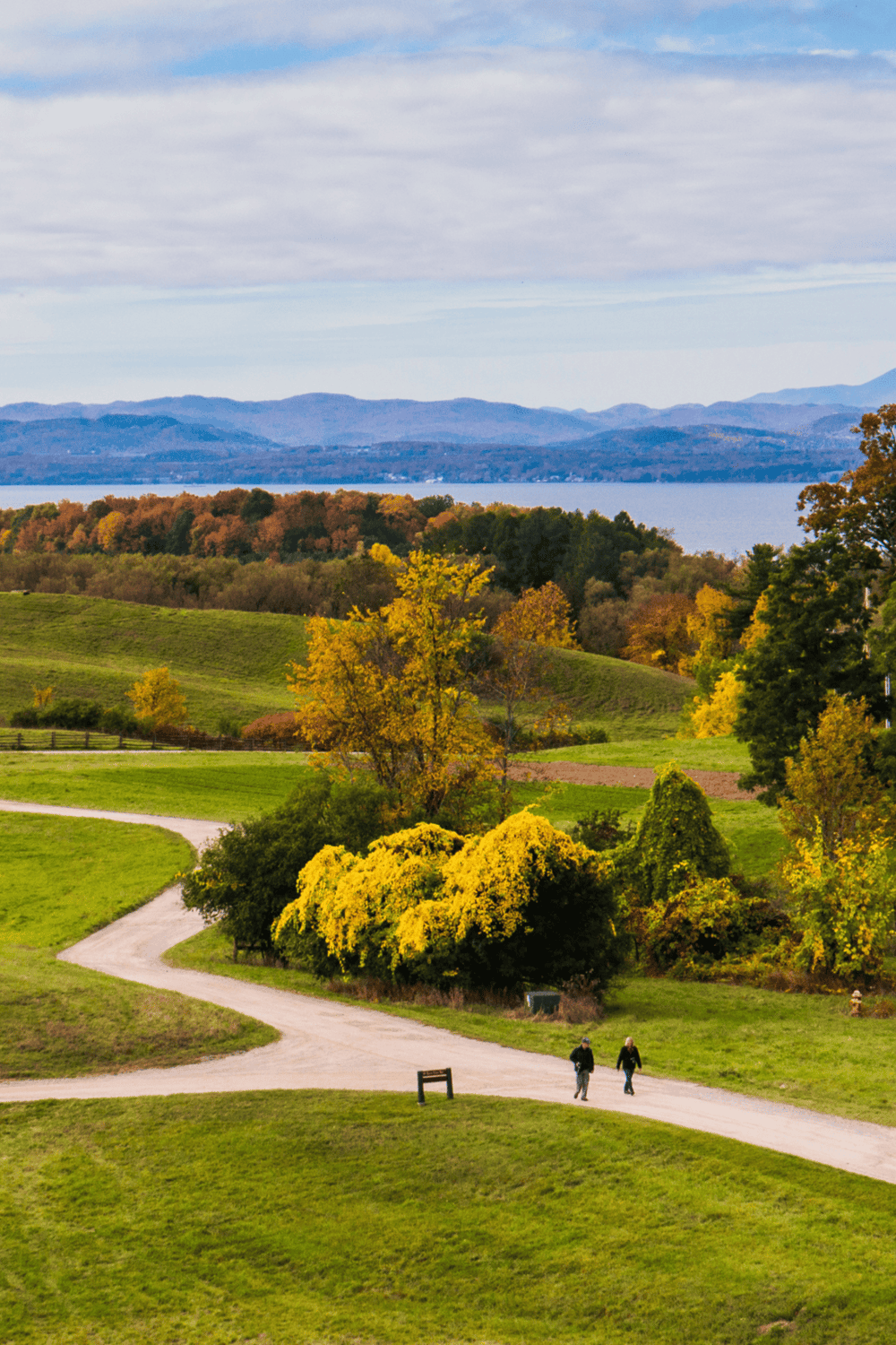 Scenic landscape with winding path, colorful trees, and lake view, perfect for outdoor adventures.