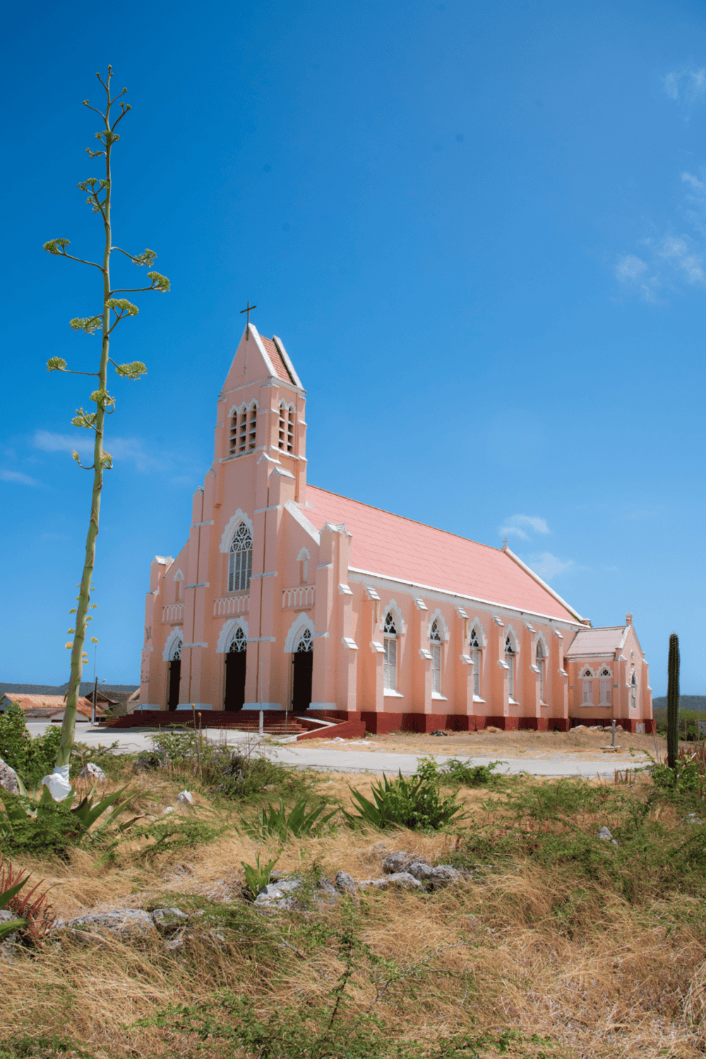 Vibrant pink church with Gothic windows in a sunny rural setting, surrounded by desert plants and cacti.
