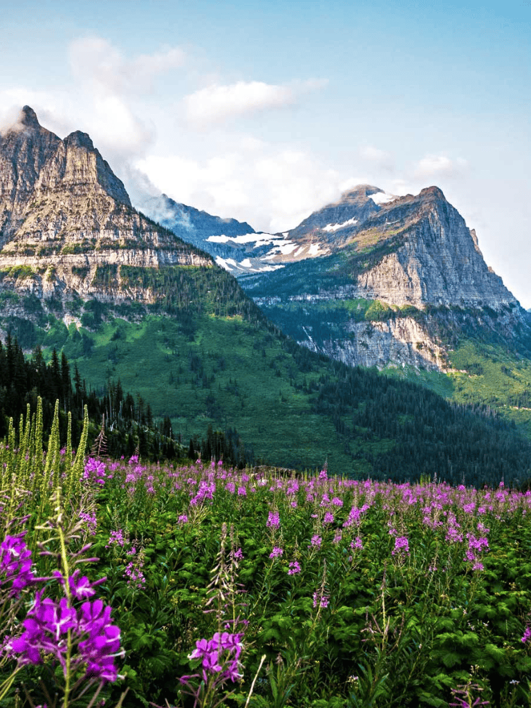 Vast mountain landscape with wildflowers in foreground and snow-capped peaks under blue sky.