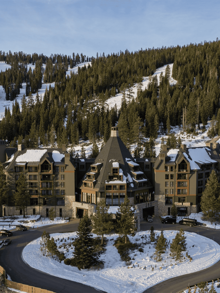Luxurious mountain resort with snow-covered trees and scenic surrounding landscape.