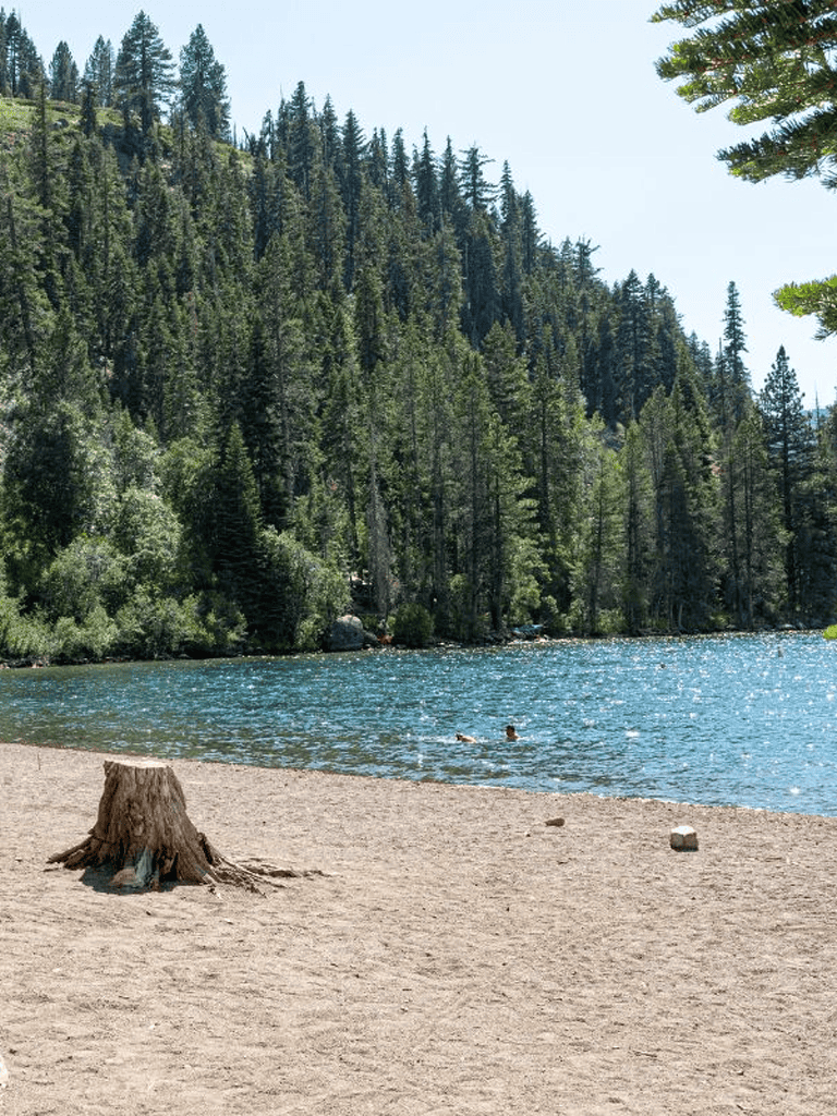 Tranquil lakeside scene with sandy beach, lush pine trees, and mountain forest background.