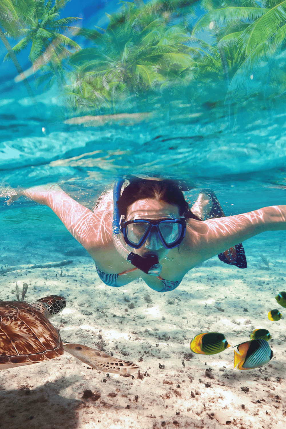 Colorful snorkeling adventure in crystal-clear ocean with marine life and tropical scenery.